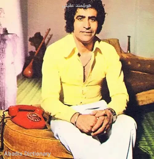 هوشمند عقیلی